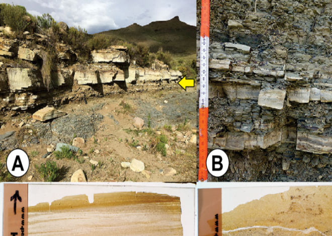 Porcellanite : composition, origin, uses and occurance