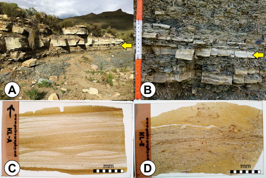 Porcellanite : composition, origin, uses and occurance