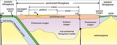 Craton shield and plat form explained in geology